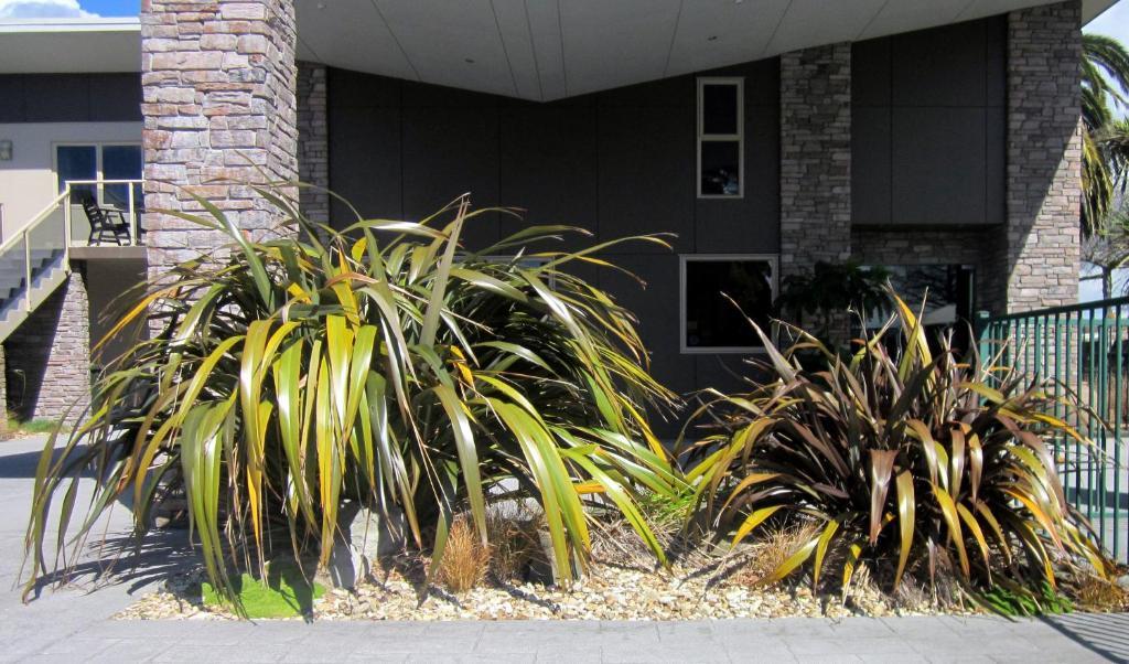 Stay 284 Rotorua - Refurbished Modern Accommodation Exterior foto